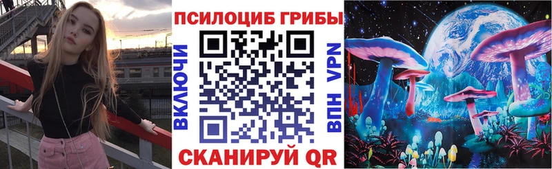 где купить наркоту  Владивосток  MEGA   Галлюциногенные грибы Magic Shrooms 